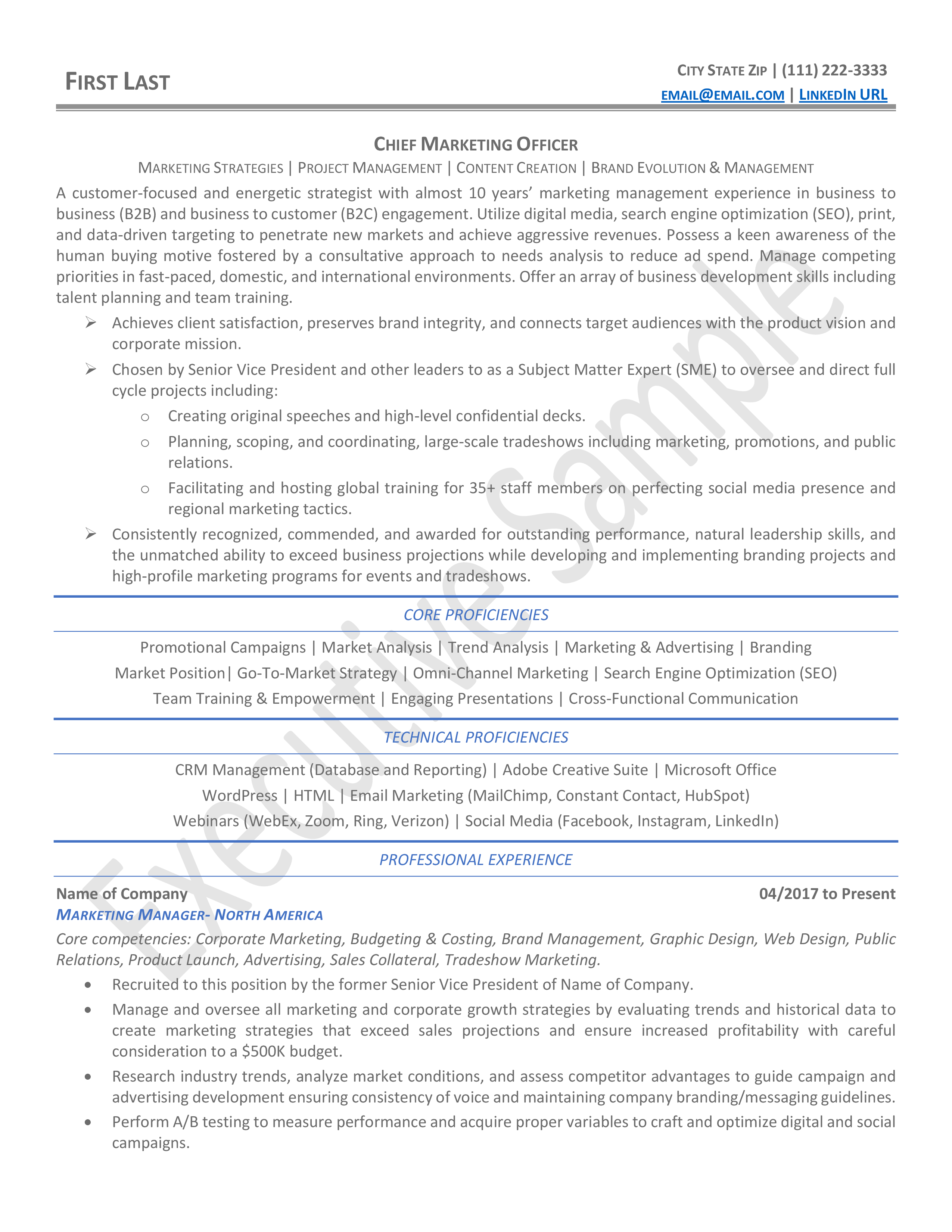 Executive Resume Sample Page 1